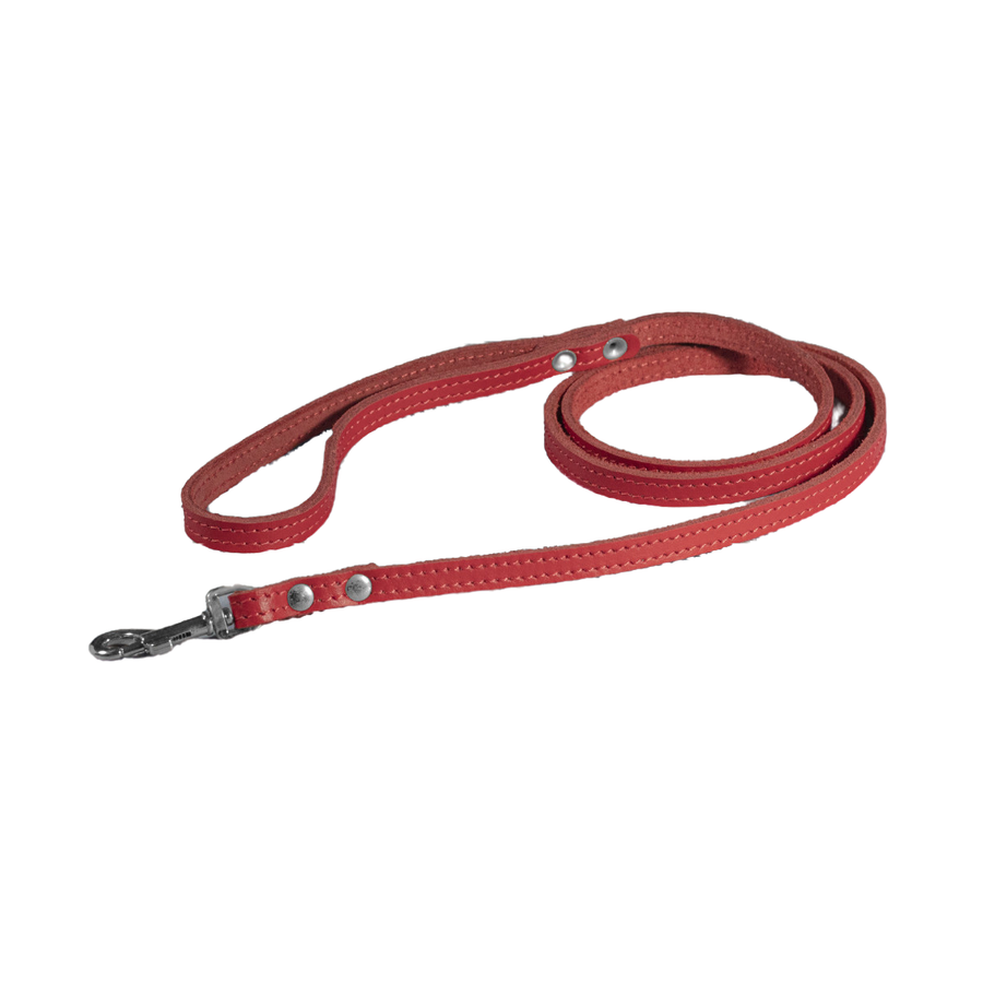 Повідець шкіра Весна 1,2 м 12 мм Червоний