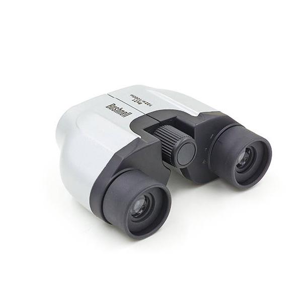 Бинокль BUSHNELL DT21 8х21 Grey-black (197446)