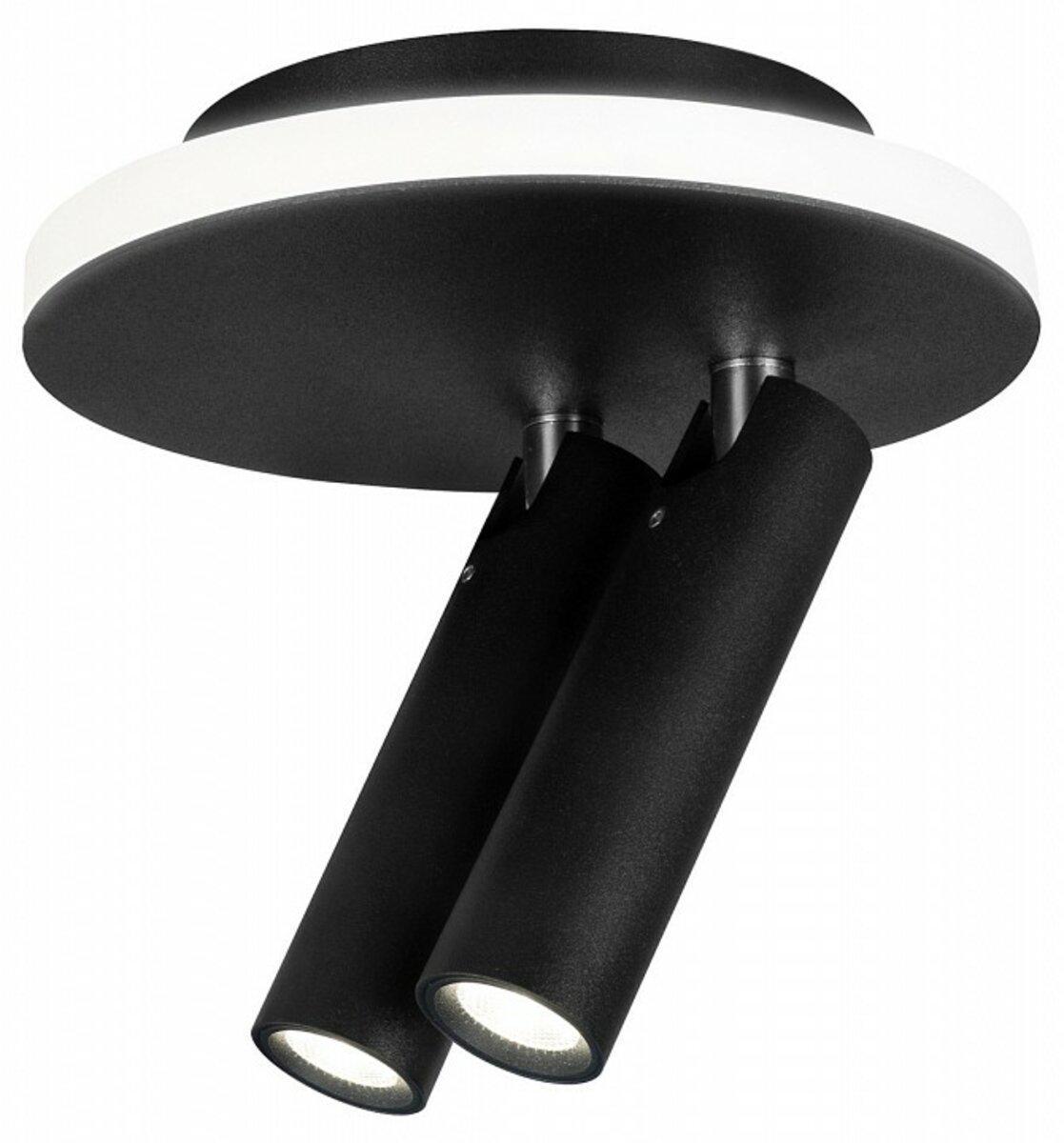 Спот Sirius RT551-2 BK (36650)