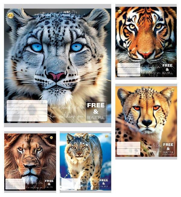 Зошити учнівські Тетрада ТЕ41308 Котики 24 арк. 20 шт. в уп. (MTT-183955) Зошити учнівські Тетрада ТЕ41308 Котики 24 арк. 20 шт. в уп. (MTT-183955)