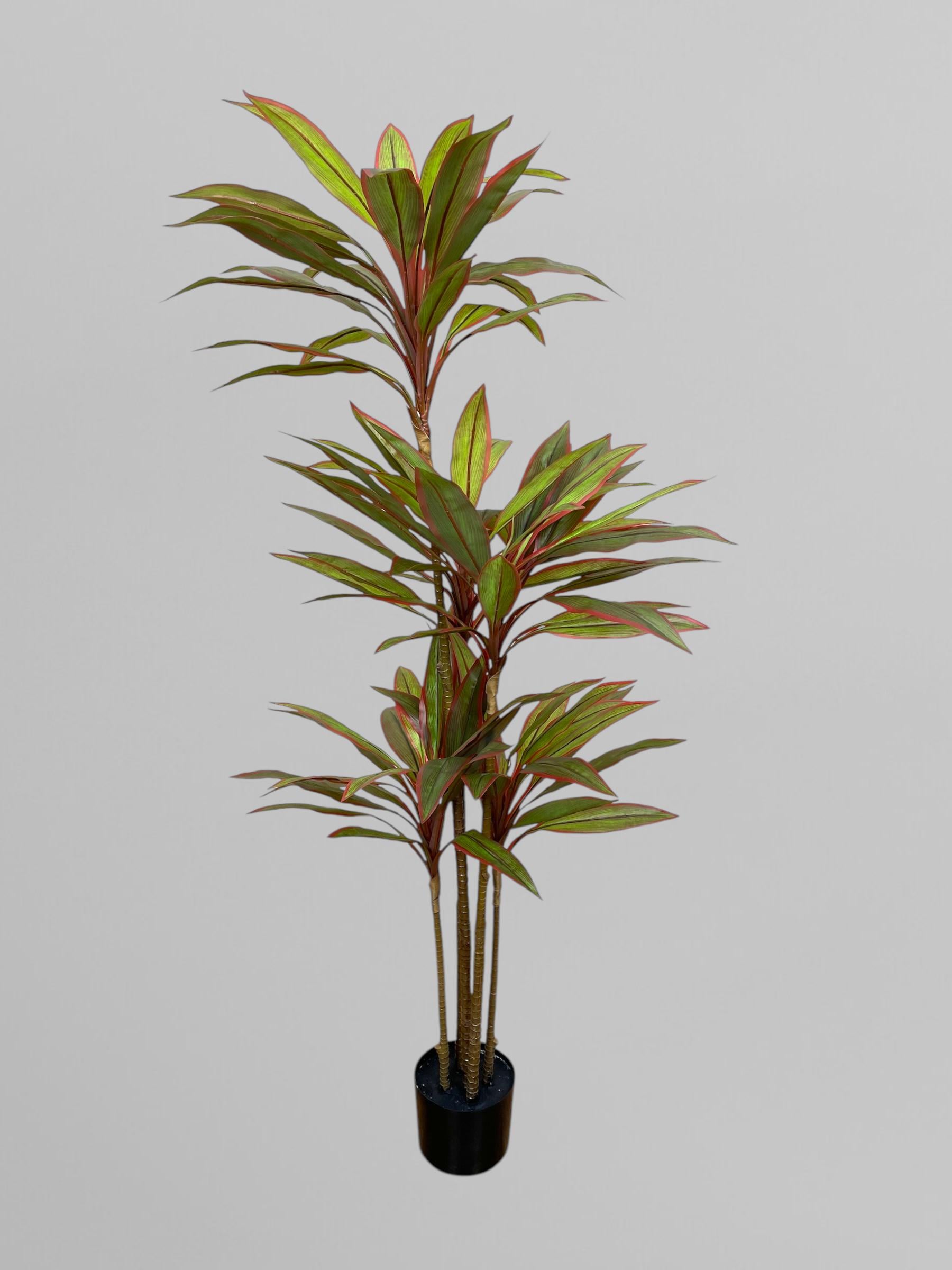 Искусственное растение Драцена 6 стволов 170 см Зеленый с красными краями (Д15006)