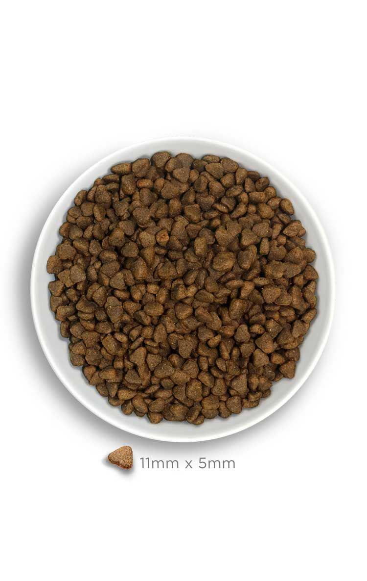 Корм сухой гипоаллергенный Bravery Mini Iberian Pork для взрослых собак малых пород с иберийской свининой 2 кг (48750) - фото 2 Корм сухой гипоаллергенный Bravery Mini Iberian Pork для взрослых собак малых пород с иберийской свининой 2 кг (48750) - фото 2