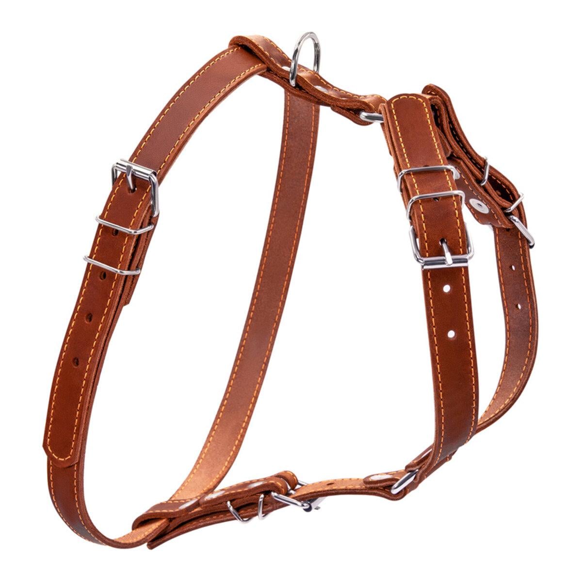 Шлея CoLLaR одинарна для малих та середніх собак ширина 20мм А:40-56см В:57-65см Коричневий