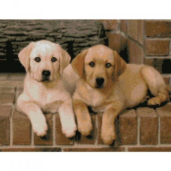 Алмазная картина Идейка Щенки породы лабрадор 40х50 см (FA40157-mt)