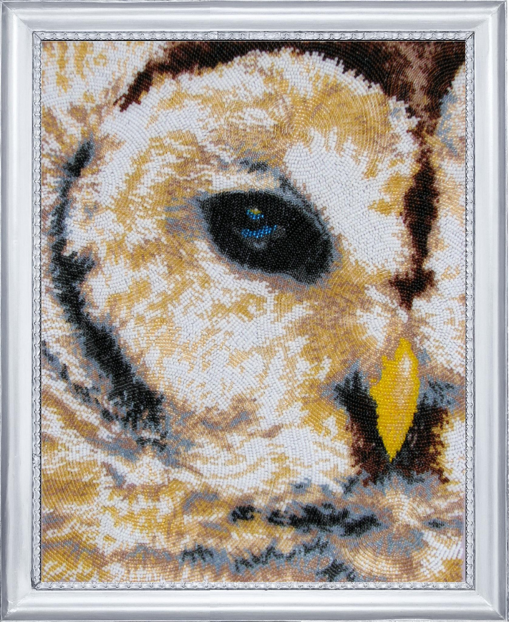 Набір для вишивання бісером BUTTERFLY 531 Погляд сови 33х26 см (531)