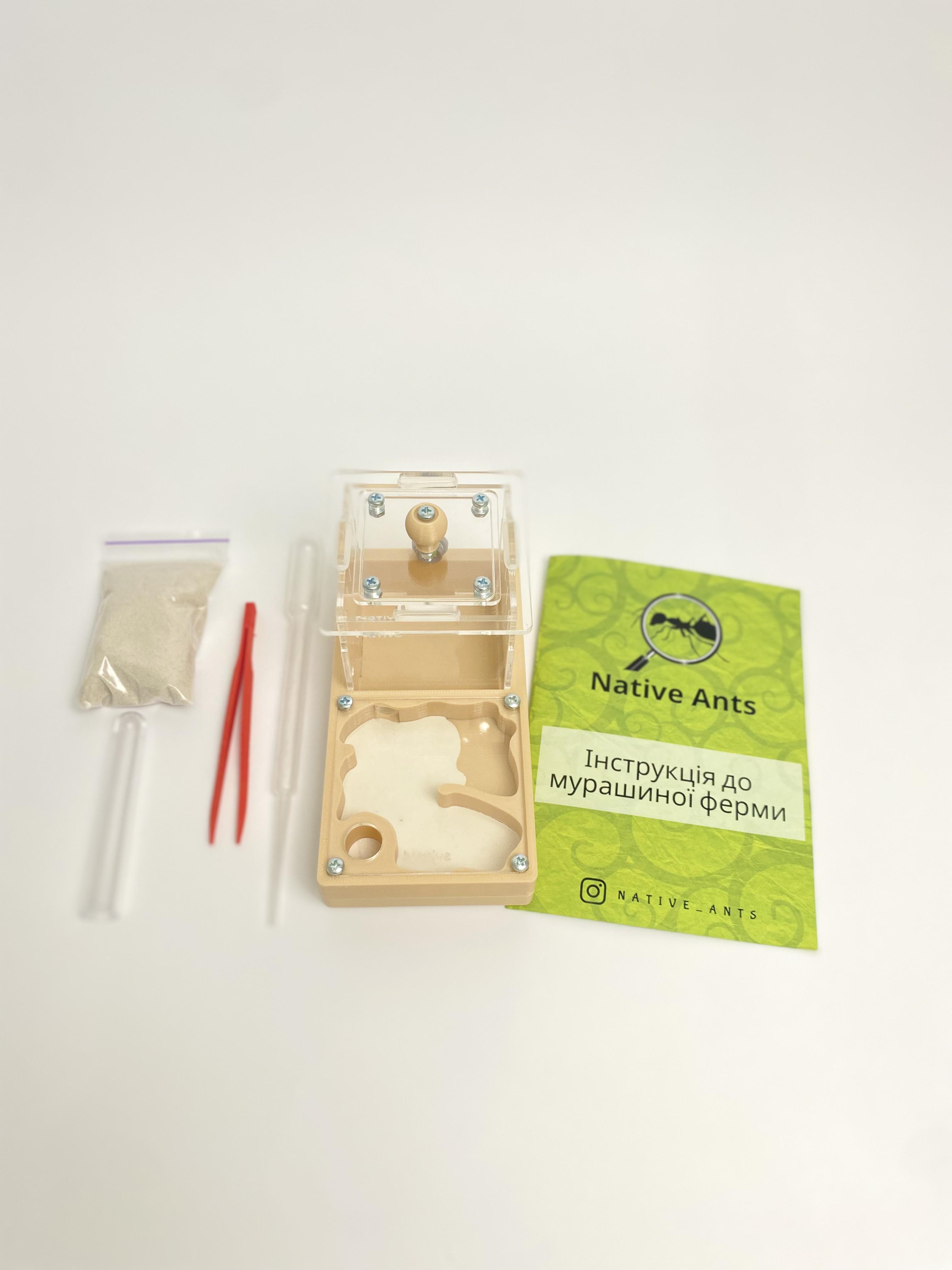 Муравьиная ферма "Мини" 7х14 см Формикарий с аксессуарами Бежевый (2580573162)