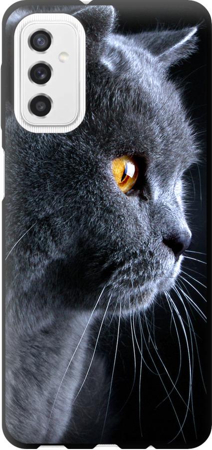 Чехол на Samsung Galaxy M52 M526B Красивый кот (3038b-2490-42517)