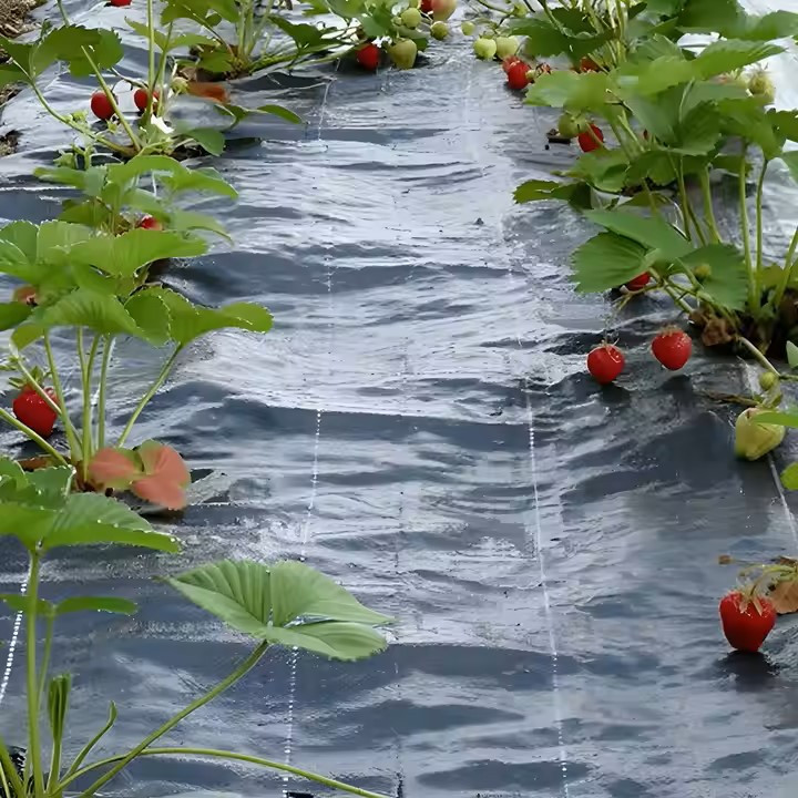 Барьер тканевый для сорняков полипропиленовый 1x100 м 100 г/м2 (28341107) - фото 2 Барьер тканевый для сорняков полипропиленовый 1x100 м 100 г/м2 (28341107) - фото 2