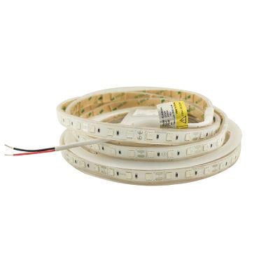 Лента светодиодная 5050-60-IP67-Y-12-12 RD3260AA Желтый