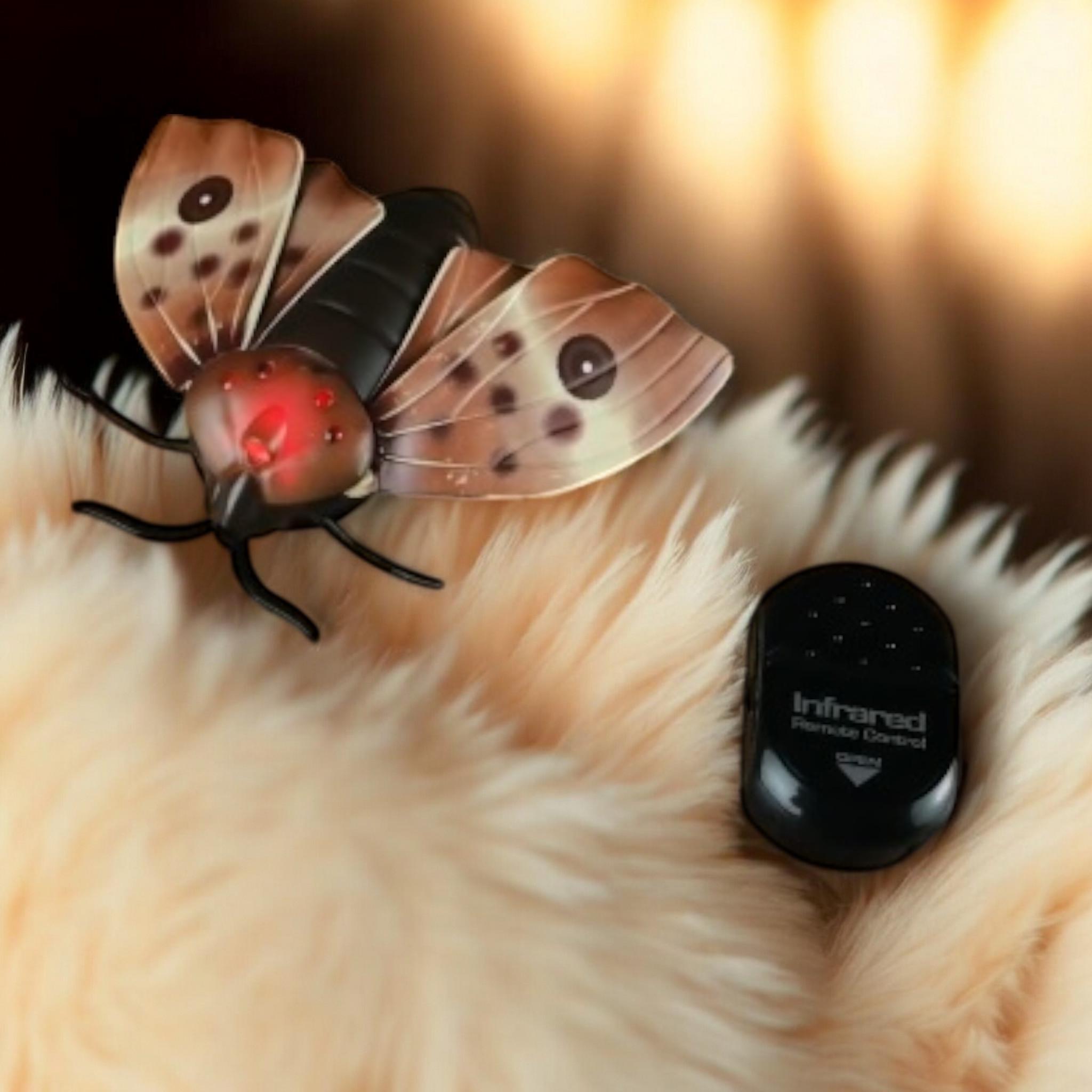 Робот метелик ZF Moth світлові ефекти на радіокеруванні (G_6662) - фото 3 Робот метелик ZF Moth світлові ефекти на радіокеруванні (G_6662) - фото 3