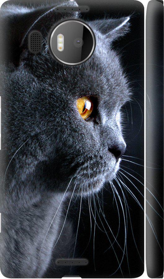 Чехол на Microsoft Lumia 950 XL Dual Sim Красивый кот (3038c-407-42517)