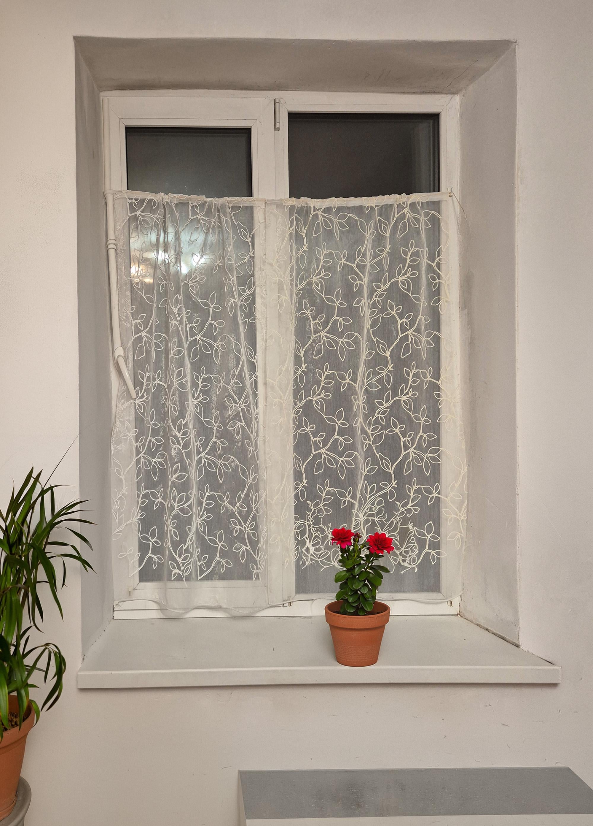 Комплект занавесок на створку окна Firanka Plants 2 шт. 140x112 см Кремовый/Молочный (11_7ф)