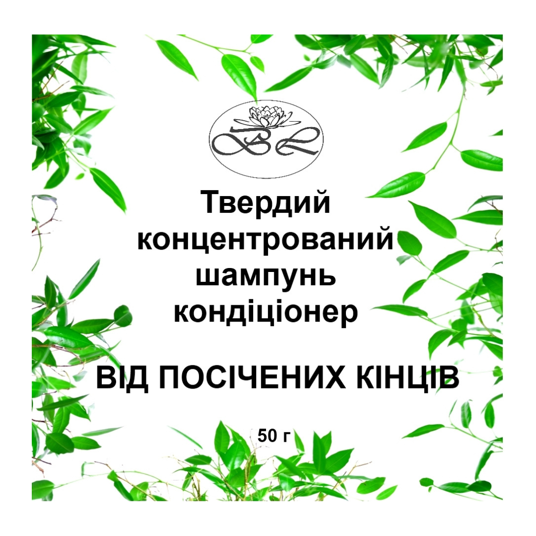 Шампунь натуральний твердий Bila Lileya для волосся 2в1 від посічених кінчиків (00343)