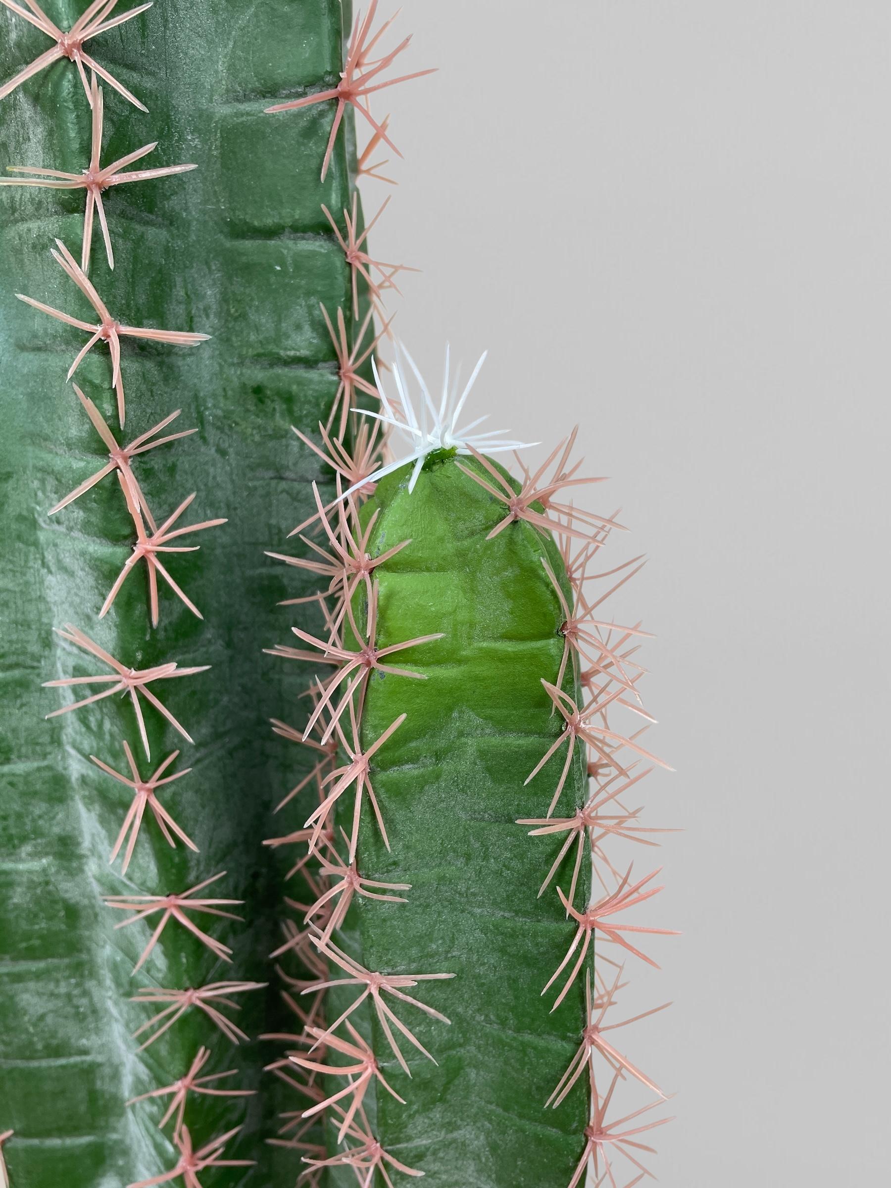 Искусственный кактус 150 см Зеленый (Р06002) - фото 6 Искусственный кактус 150 см Зеленый (Р06002) - фото 6