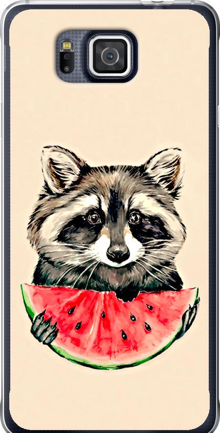 Чехол на Samsung Galaxy Alpha G850F Енотик с арбузом (4605u-65-42517)