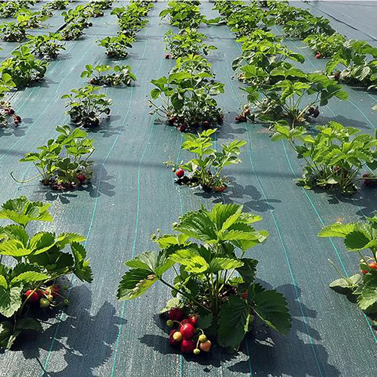 Агротканина Agreen 100 г/м2 1,2х100 м Чорний (92679) - фото 5 Агротканина Agreen 100 г/м2 1,2х100 м Чорний (92679) - фото 5