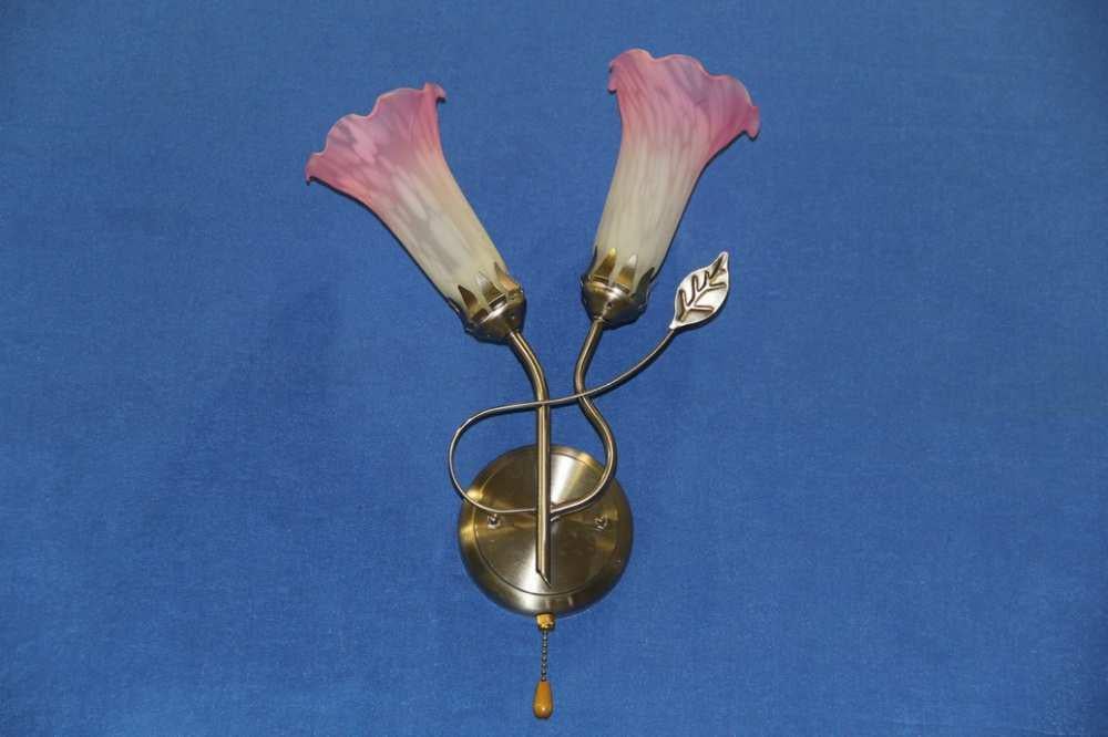 Бра з плафонами Ray B0049/1 Рожевий (IR004969)