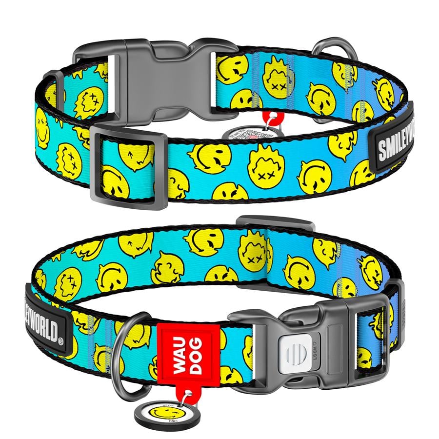 Нашийник для собак з QR-паспортом Waudog Nylon Смайли пластиковий фастекс М 20 мм 28-40 см Blue (281-0182) - фото 1 Нашийник для собак з QR-паспортом Waudog Nylon Смайли пластиковий фастекс М 20 мм 28-40 см Blue (281-0182) - фото 1