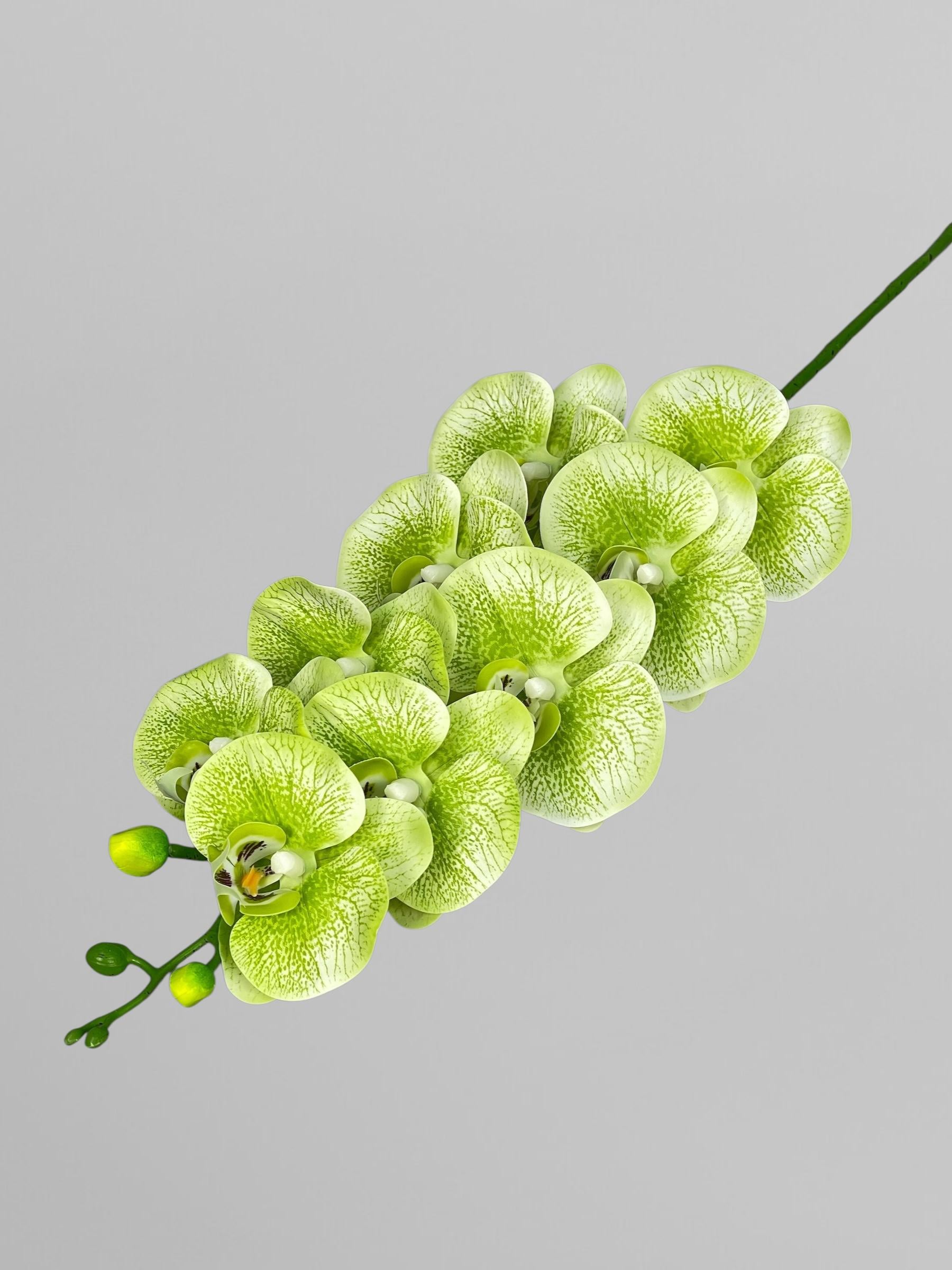 Искусственная орхидея Фаленопсис латексная на 9 соцветий 96 см Салатовый с принтом (К01139)