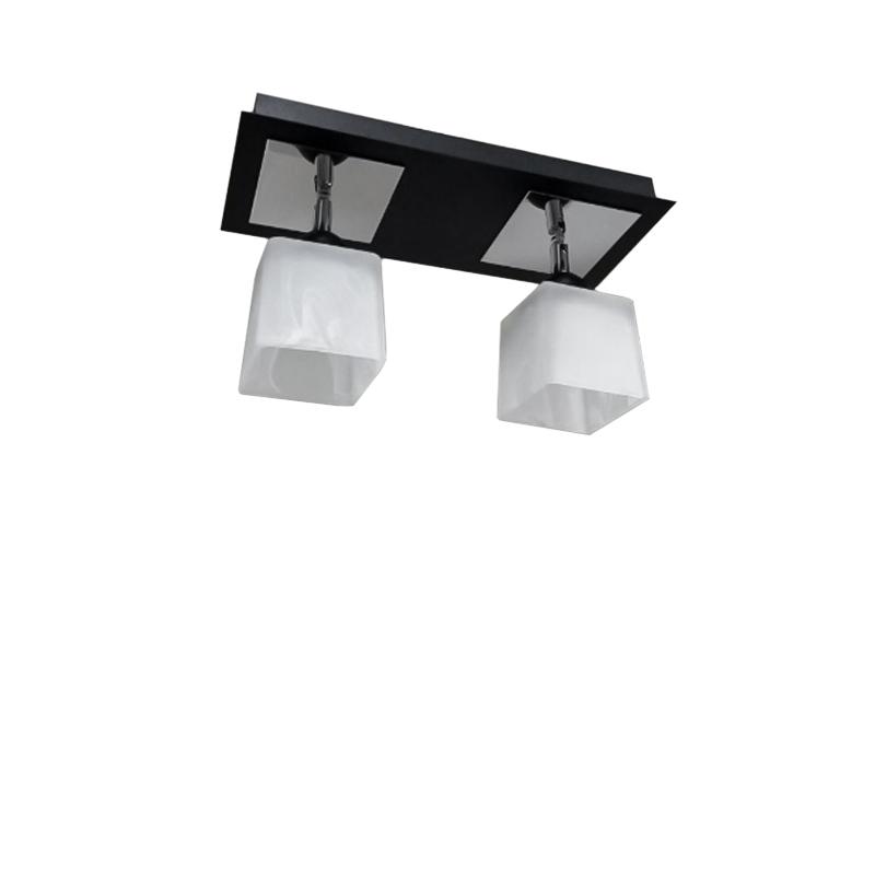 Люстра потолочная Light House SRS-16050/2 на две лампы Черный