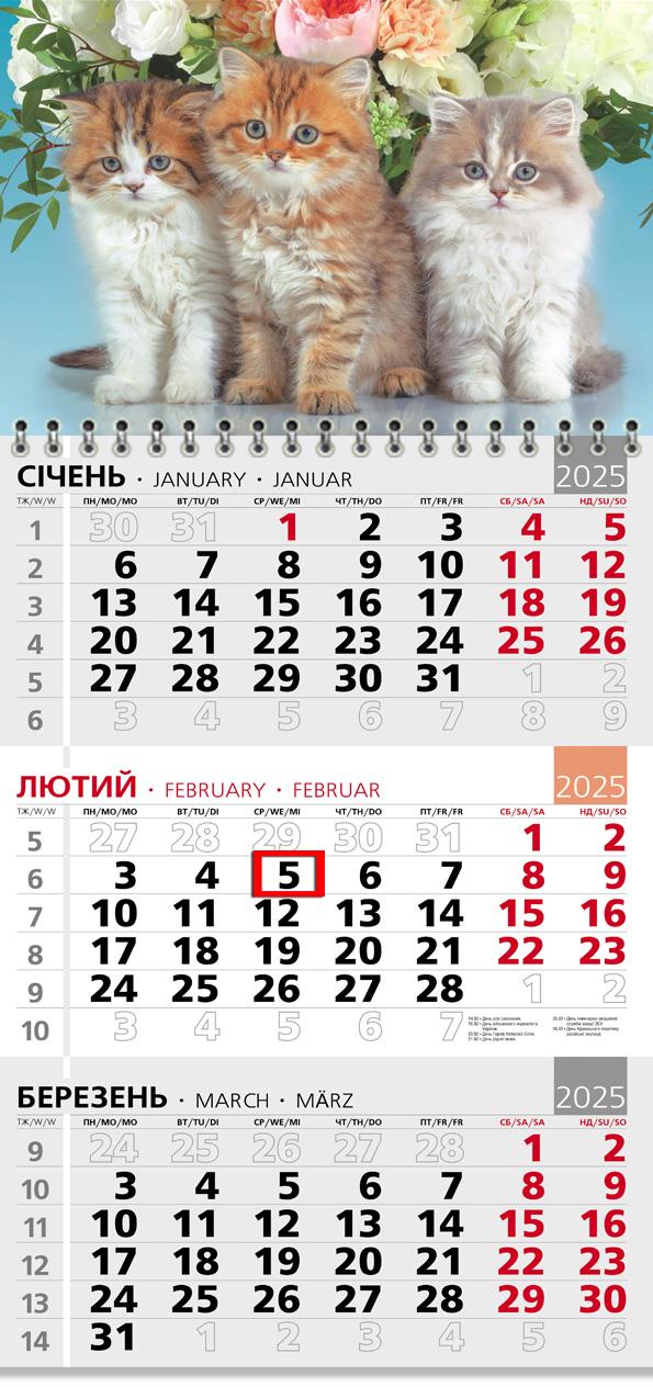Календар на 2025 р. Офісний 3 Тріо котиків та букет квітів Календар на 2025 р. Офісний 3 Тріо котиків та букет квітів