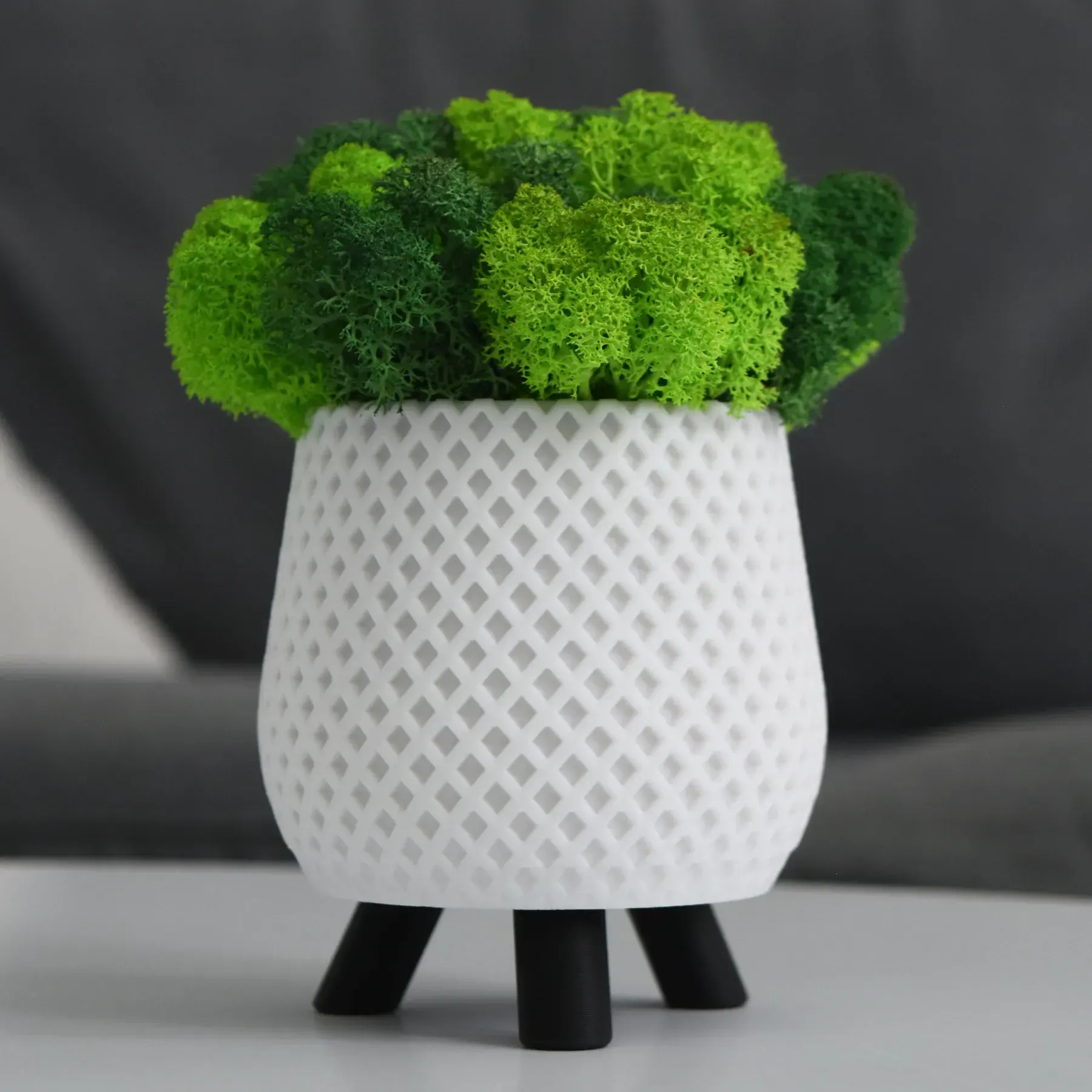 Кашпо Loft на черных ножках со стабилизированным мхом Белый/Зеленый/Салатовый (KM-B-5)