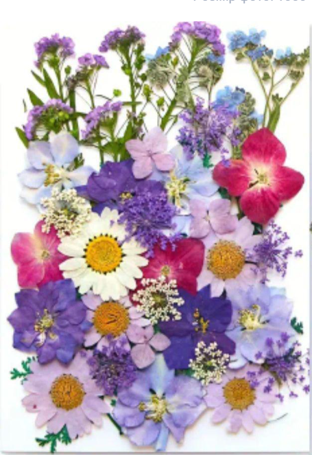 Набор микс прессованных сушеных разноцветных цветов Листья для ювелирных изделий из эпоксидной смолы 40 шт. (С - 032)