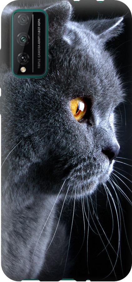 Чохол на Huawei Honor Play 4T Pro Гарний кіт (3038u-1914-42517)