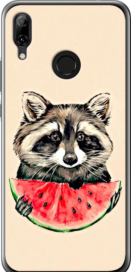 Чехол на Huawei Nova 3 Енотик с арбузом (4605u-1535-42517)