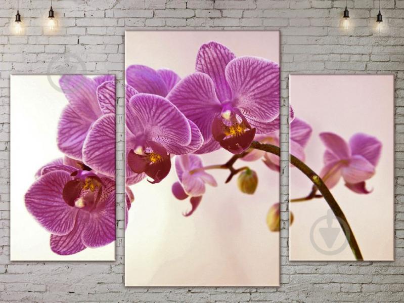 Модульная картина ArtStar цветы Розовая Орхидея ADFL0083 размер 120 х 180 см