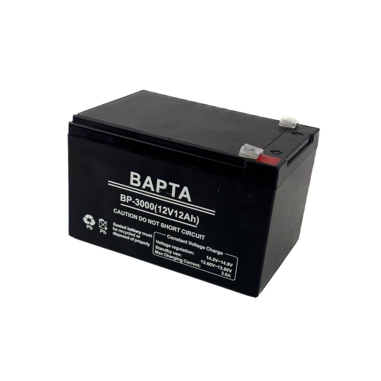 Батарея аккумуляторная BAPTA BP-3000/7924 12 В 12 Ач 155х98х99 мм (23251936)