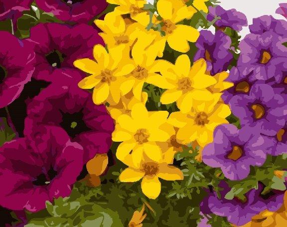 Картина по номерам Brushme GX24789 Разноцветная клумба 40x50 см (1312184396)