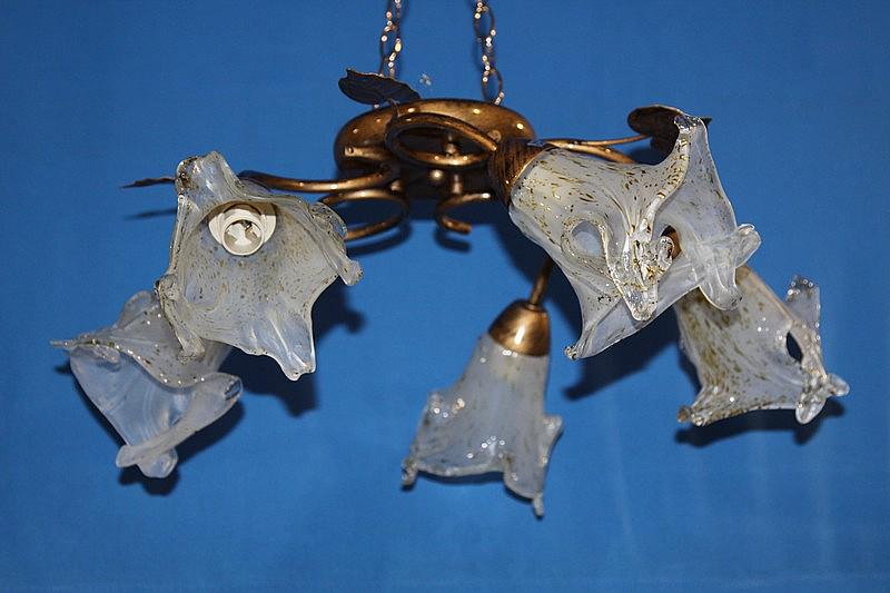 Люстра с плафонами Ray L10120/5 (IR005890)