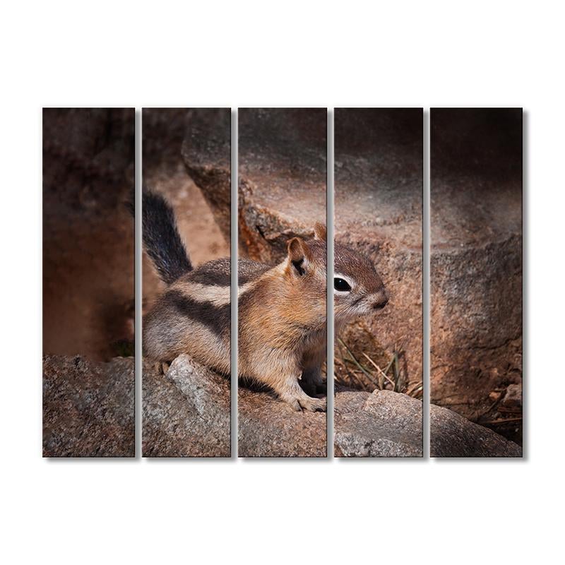 Картина модульная Бурундучек 5 модулей 70x105 см
