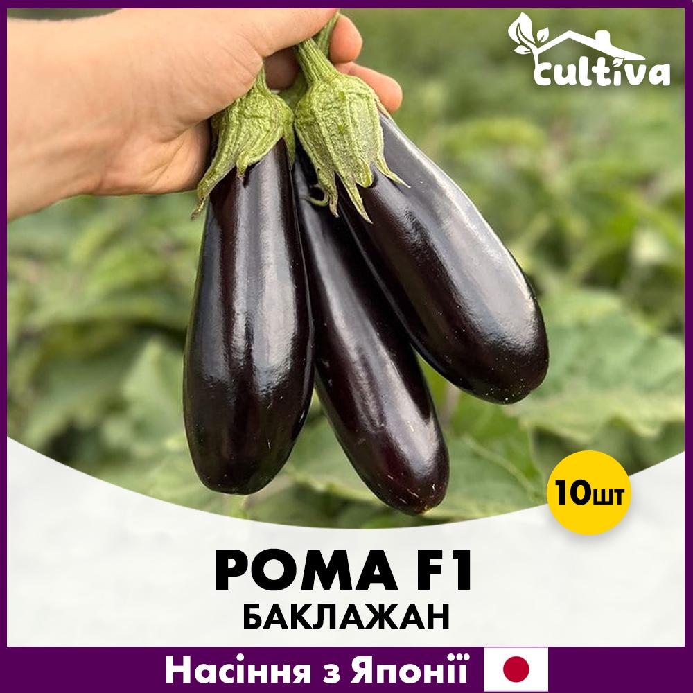 Семена баклажана Sakata Рома F1 10 шт. (R51157)