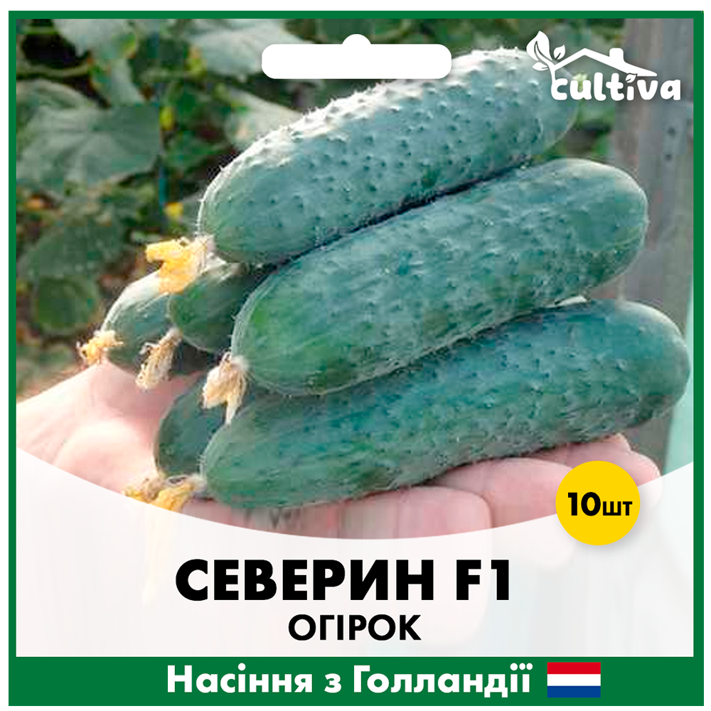 Семена огурца Enza Zaden Северин F1 10 шт. (O13)