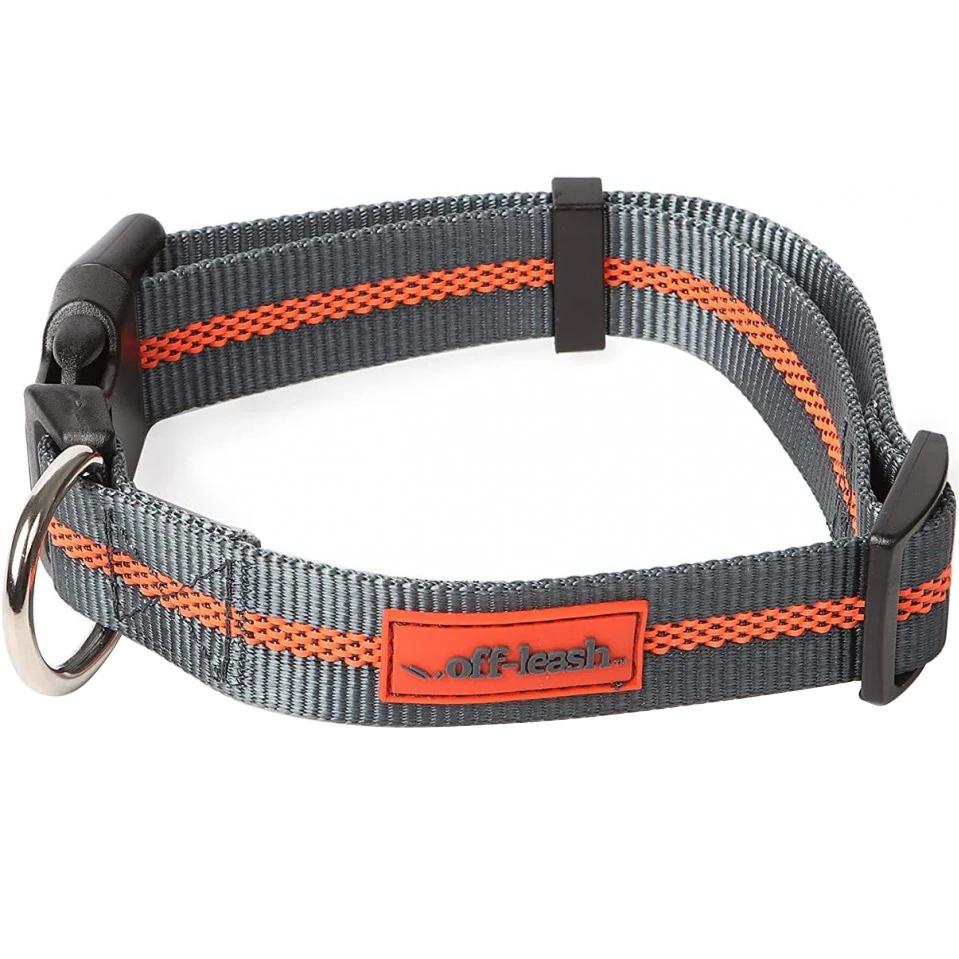 Ошейник Dexas Off-Leash Collar для собак 50 см (PWC020-432-2027)