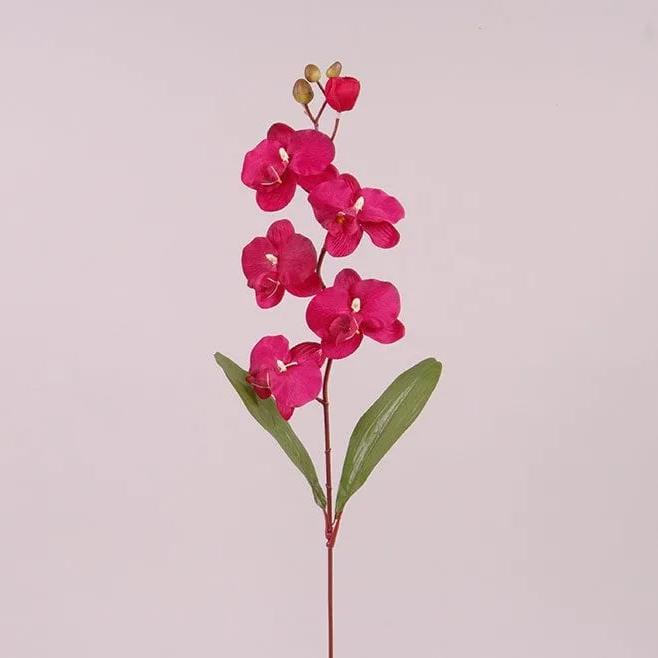 Цветок Фаленопсис Flora Малиновый (73016)