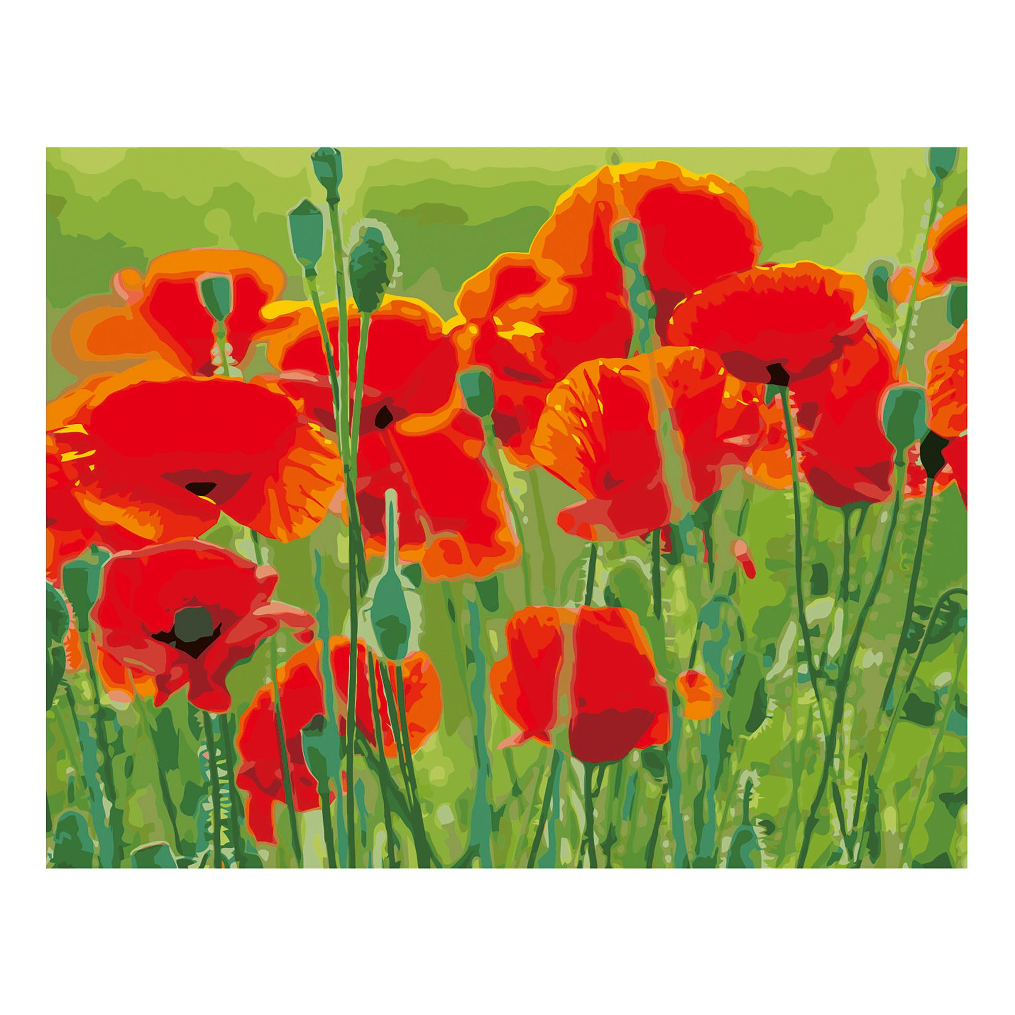 Картина по номерам Strateg Маки в поле на цветном фоне 40x50 см (Str-VA-2660.)