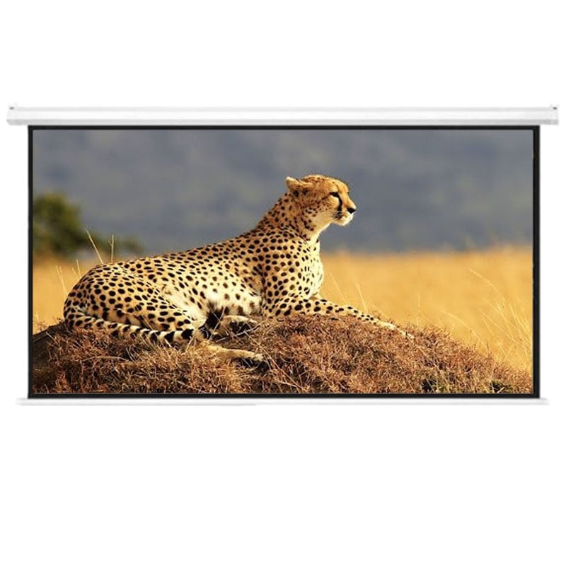 Екран проекційний Atria MRSM-HD-135D моторизований 16:9 135" 299x168 см (tf5437) - фото 3 Екран проекційний Atria MRSM-HD-135D моторизований 16:9 135" 299x168 см (tf5437) - фото 3