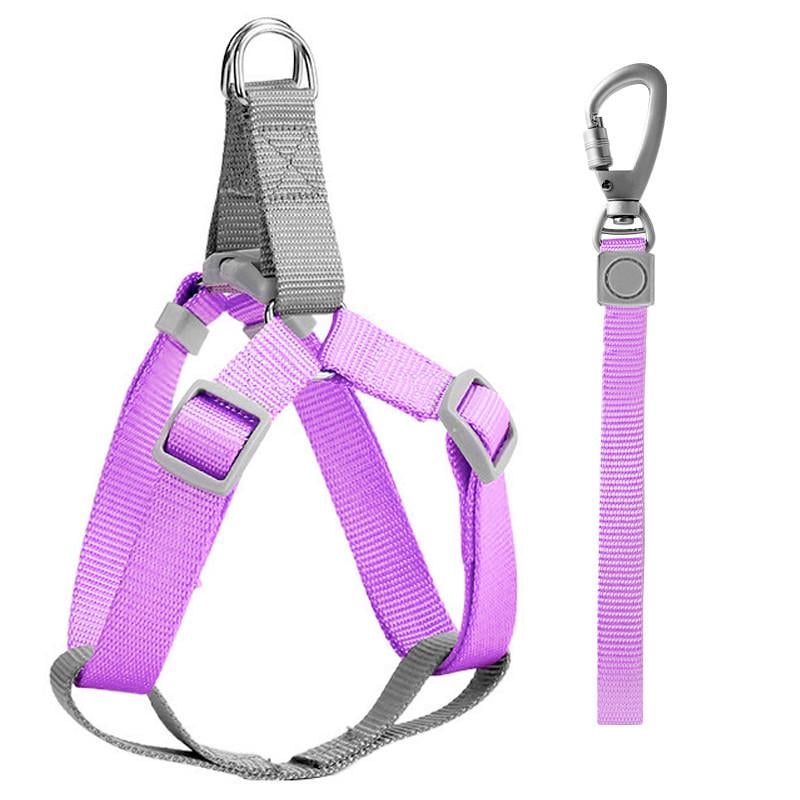 Шлея для собак или кошек с поводком Taotaopets 171120 Purple L 2.0 cm для выгула