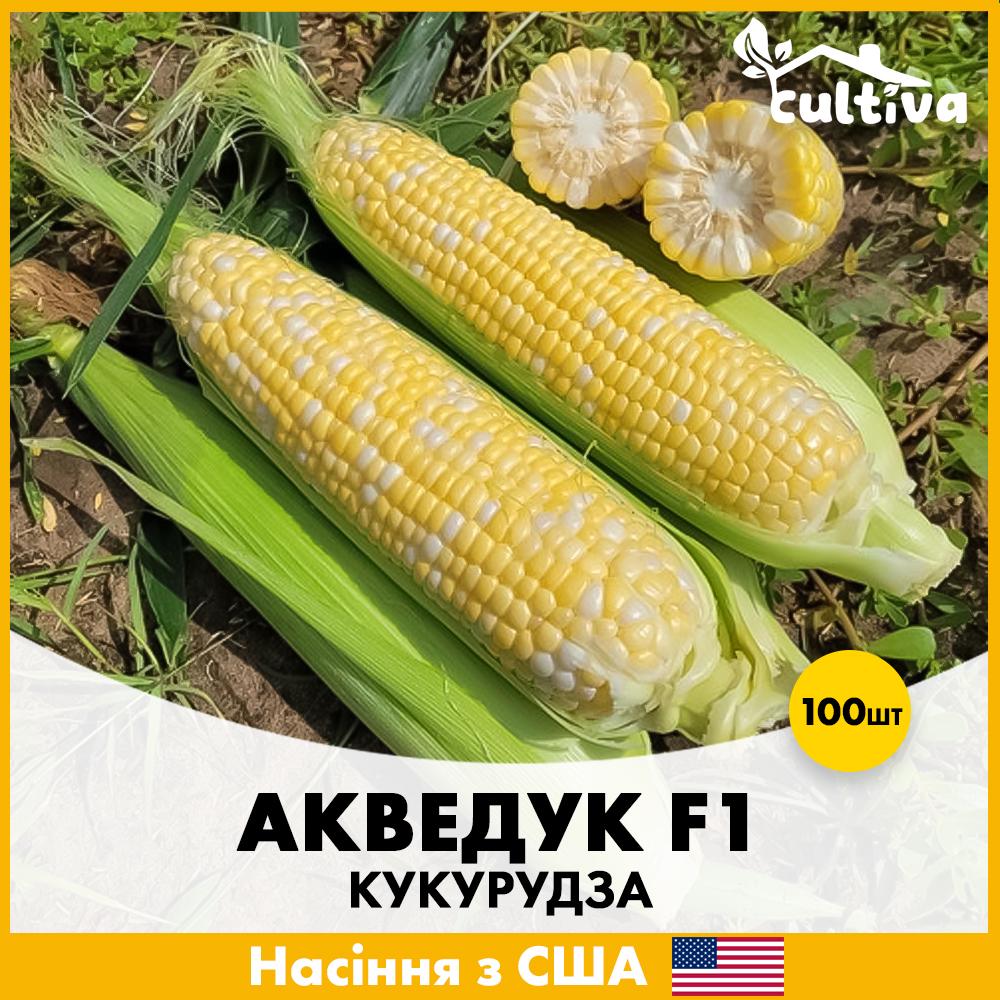 Насіння кукурудзи Spark Seeds Суперсолодка Акведук F1 100 шт. (R51092)