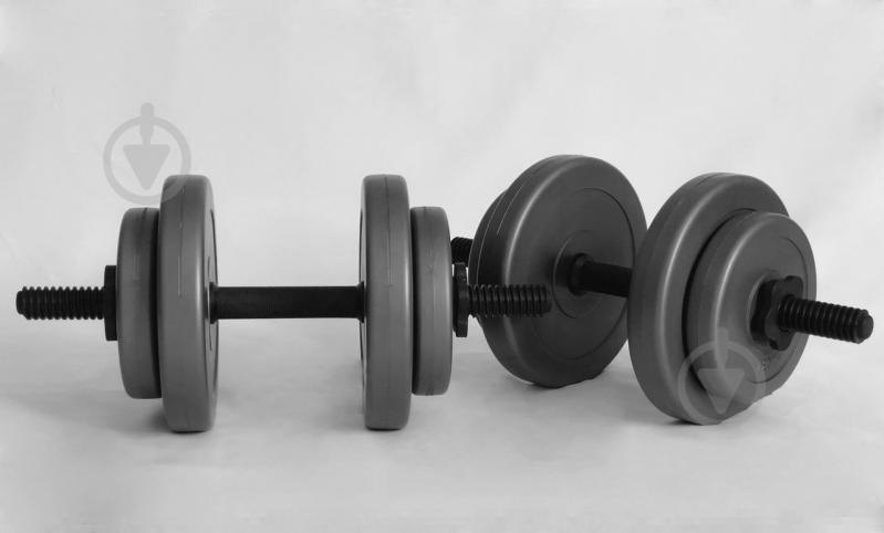 Гантели 2х8 кг Наборные WCG Grey Гантели 2х8 кг Наборные WCG Grey