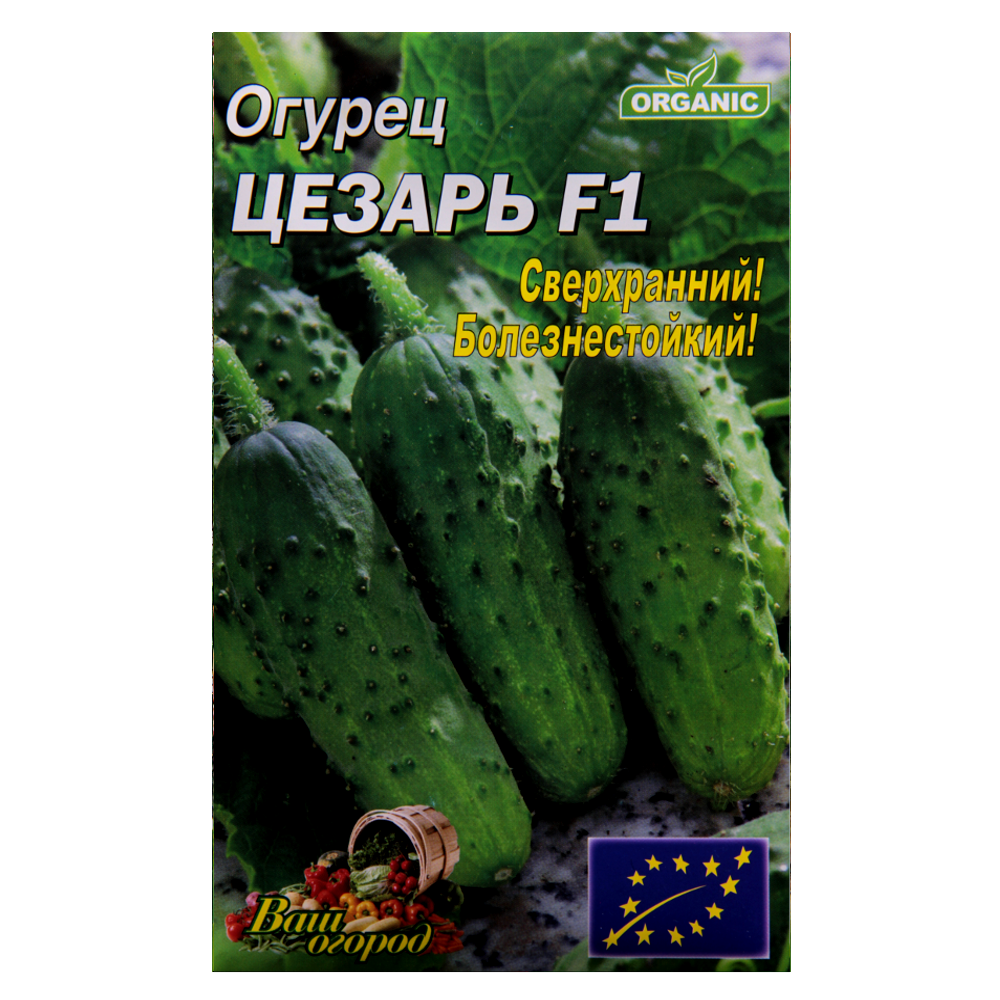 Семена огурца Цезарь F1 суперранний 3 г (22770)