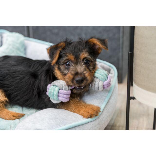 Игрушка Trixie Junior гантель веревочная для щенков 15 см (TX-32811) - фото 3 Игрушка Trixie Junior гантель веревочная для щенков 15 см (TX-32811) - фото 3