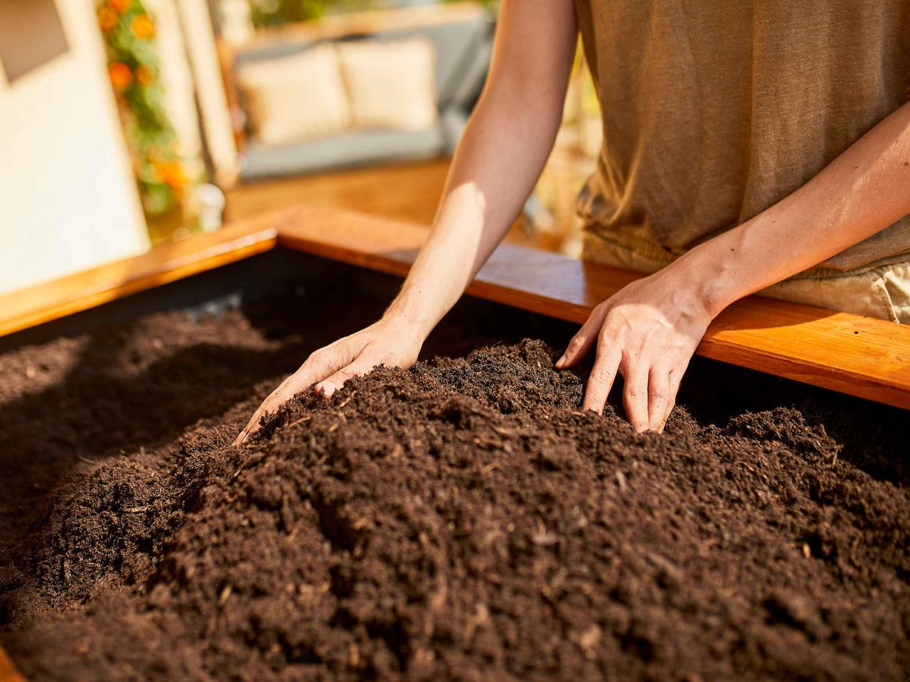 Торфосмесь для зелёных растений и пальм Compo SANA 20 л - фото 3 Торфосмесь для зелёных растений и пальм Compo SANA 20 л - фото 3