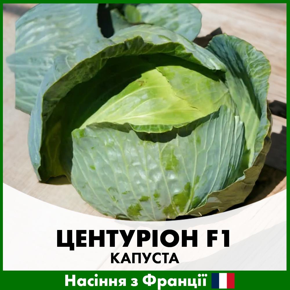 Семена капусты Clause Белоголова Центурион F1 100 шт. (R29033)