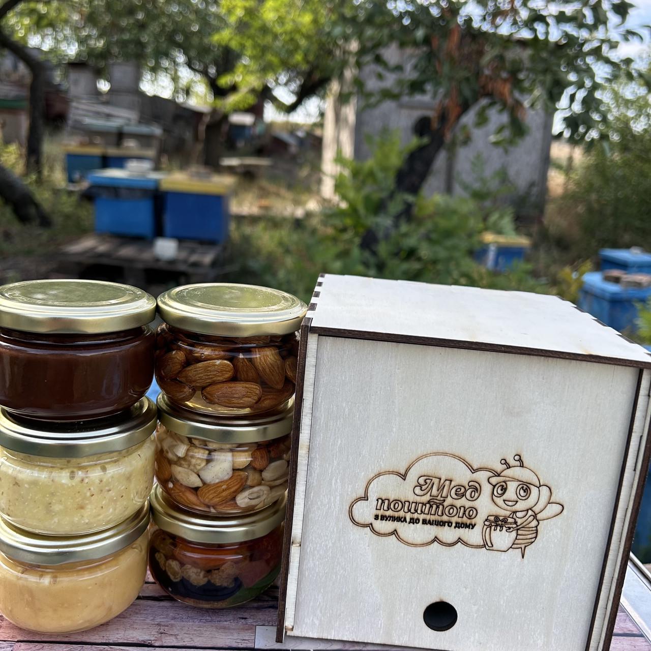 Набор дерево баночек №2 6 шт. (1533011541) - фото 5 Набор дерево баночек №2 6 шт. (1533011541) - фото 5