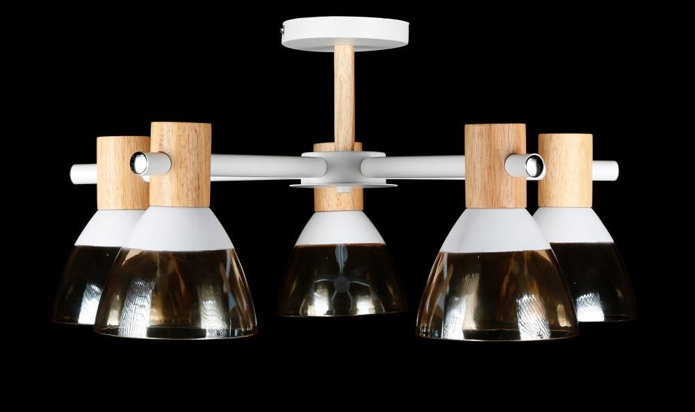 Люстра с плафонами Ray LGH60035/5 WT (IR006549)