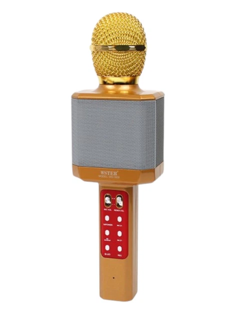 Мікрофон-караоке бездротовий Wster WS-1828 з Led-підсвічуванням Золотий (GR-05420)